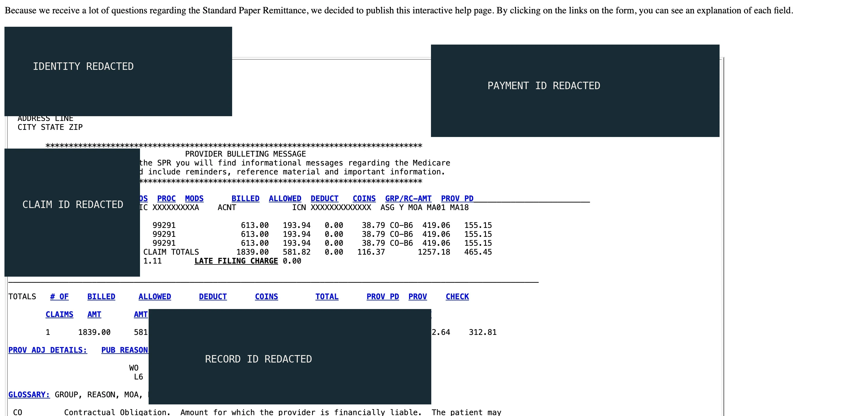 Standard Paper Remittance example showing raw claim and adjustment rows